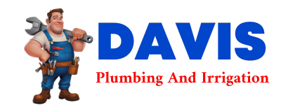 Trusted plumber in DATIL